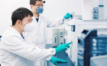 贷后检查岗工作总结精选5篇