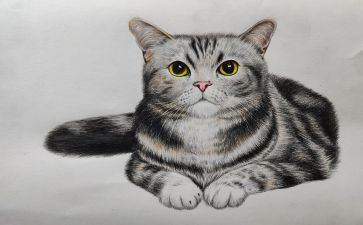 幼儿园古诗《画》的教案7篇