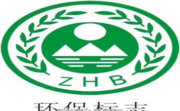 环保袋的活动总结5篇