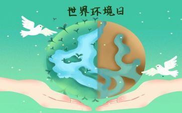 开展环境日活动总结8篇
