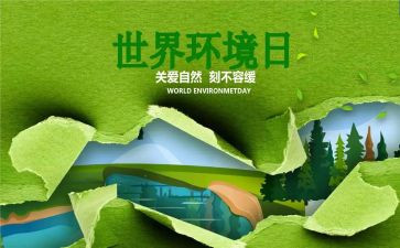 小学环境日主题活动方案8篇