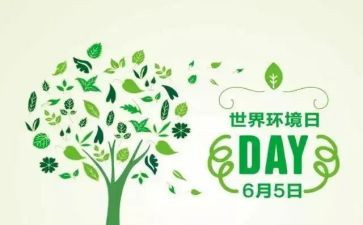 2024年六五环境日宣传活动总结7篇