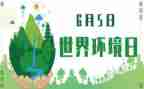 六五环境日宣传活动总结8篇