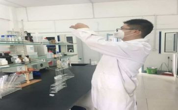 化验工作个人年度总结7篇