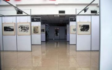 系画展活动方案优秀6篇