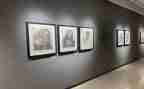 系画展活动方案7篇