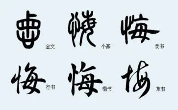 让我后悔的作文8篇
