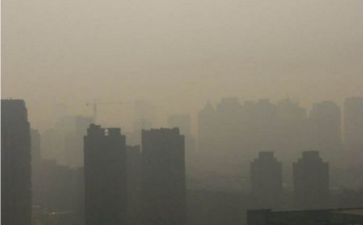 读《灰尘的旅行》读后感8篇