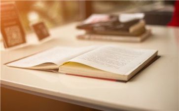 会计专业月总结报告8篇