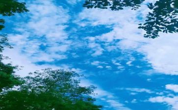 我的回忆,作文6篇