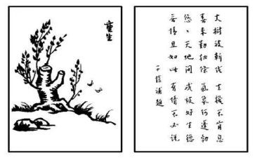 医护生自我鉴定6篇