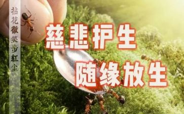 保护生命倡议书8篇