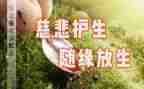 保护生命倡议书8篇