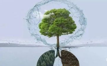 呼吸科医生年终总结6篇