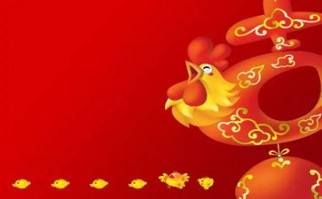 我是一只鸡作文300字8篇
