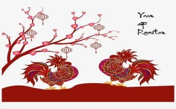 与公鸡的作文通用8篇
