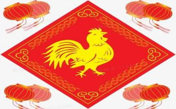 鸡的生物调查报告6篇
