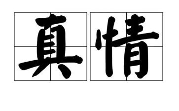 真情初中作文600字5篇
