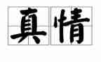真情初中作文600字5篇