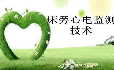 监护的工作总结8篇