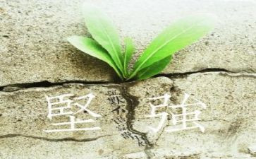 坚强的泪的作文5篇