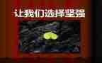 坚强100作文优质8篇