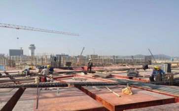 法治政府建设自查报告7篇