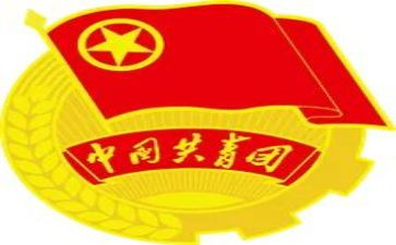 建团100周年心得6篇