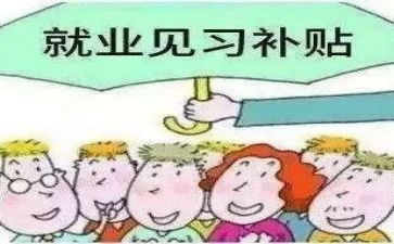 会计见习期工作总结6篇