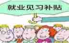 会计见习期工作总结6篇