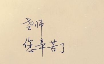 个人总结新教师个人总结模板6篇