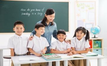 新进教师年度工作总结6篇