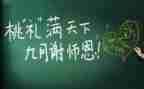 2024年教师工作心得体会推荐5篇