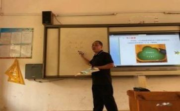 教研工作个人总结精选5篇