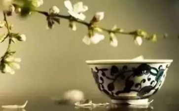 教养作文800字6篇
