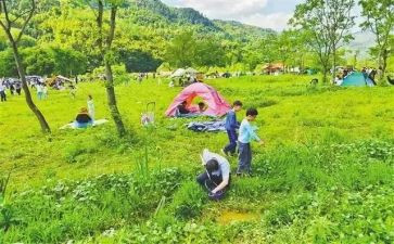 郊游活动方案6篇