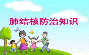 2024年结核病半年工作总结5篇