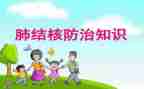 2024年结核病半年工作总结5篇
