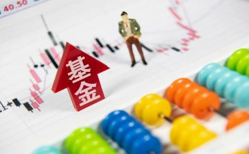 基金活动总结7篇