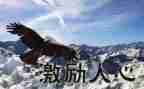 梦想激励的演讲稿8篇