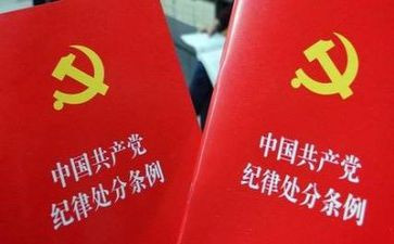 纪律委的工作总结最新7篇