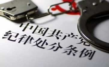 纪律委的工作总结7篇