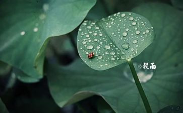 县二十四节气活动方案5篇