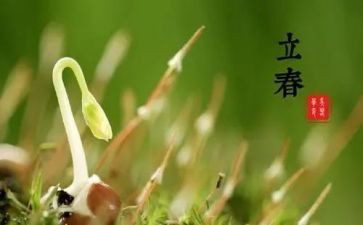 节气幼儿教案7篇