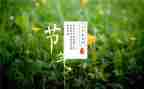 幼儿园节气活动教案6篇