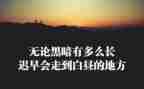 竹子的精神作文7篇