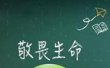知敬畏强纪律心得体会8篇