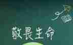 知敬畏强纪律心得体会8篇