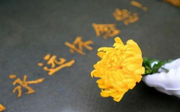 祭扫墓活动方案6篇