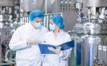 技术组工作总结模板5篇